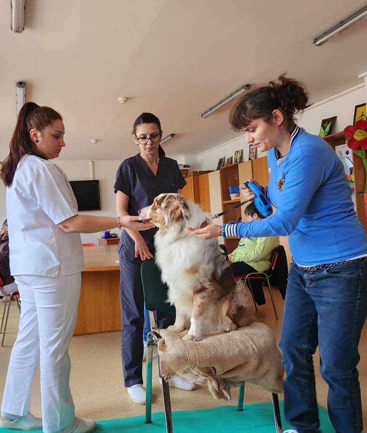 DOGTORS – Terapie și educație asistată de câine pentru persoanele cu dizabilități neuropsihiatrice